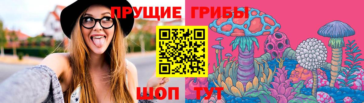 Галлюциногенные грибы Cubensis  Псилоцибиновые грибы GOLDEN TEACHER  Вход с VPN  Ангарск 